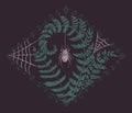 Hand drawn textured illustration with gothic aesthetic with spider, fern and web.