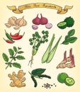 Hand drawn thai food ingredients Royalty Free Stock Photo