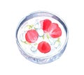 Hand-drawn Thai Water Bowl with Flowers Inside Watercolor Royalty Free Stock Photo