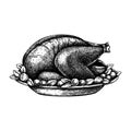 Hand drawn Thanksgiving turkey illustrations. Roasted turkey with baby potatoes and herbs sketches. Traditional american meat