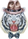 Hand drawn Tiger in brown hat and bow-tie. Watercolor drawing white tiger head, blue eyes