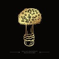 Hand drawn toadstool concept. Golden drawing of hallucinogenic mushroom. Fly agaric golden sticker. A stylized image of a