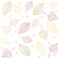 Hand drawn transparent autumn tree leaves pattern background. Royalty Free Stock Photo