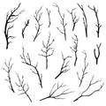 Hand drawn tree branches collection.