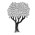 Hand drawn Tree illustration. T-shirt rustic print. Vector icon design. Royalty Free Stock Photo