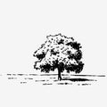 Hand drawn tree isolated