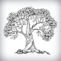 Hand drawn tree symbol Royalty Free Stock Photo