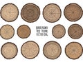 Hand drawn tree trunk vector rings isolated on white background Royalty Free Stock Photo