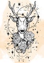 Hand-drawn trendy vector illustration with deer and peony flowers over the stars. Tattoo art. Vector linear style artwork isolated Royalty Free Stock Photo