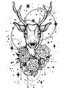 Hand-drawn trendy vector illustration with deer and peony flowers over the stars. Tattoo art. Vector linear style artwork isolated Royalty Free Stock Photo