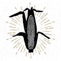 Hand drawn tribal icon with a textured corn vector illustration Royalty Free Stock Photo
