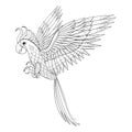 Hand drawn tribal Parrot, bird totem for adult Coloring Page in