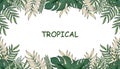 Hand drawn tropical floral frame template, border design with jungle foliage, tropical summer design , botanic aloha illustration