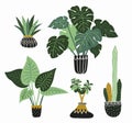 Hand drawn tropical house plants. Scandinavian style illustration, modern and elegant home decor. Vector design flowers. Royalty Free Stock Photo