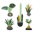 Hand drawn, tropical house plants. Scandinavian style vector illustration, modern and elegant home decor. Royalty Free Stock Photo