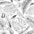 Hand drawn tropical leaves pattern. Sketch drawing palm branch, monstera leaf and exotic forest plants leaf seamless