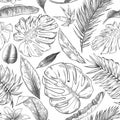 Hand drawn tropical leaves pattern. Sketch drawing palm branch, monstera leaf and exotic forest plants leaf seamless vector