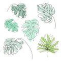 Hand drawn tropical leaves set Royalty Free Stock Photo