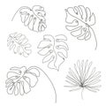 Hand drawn tropical leaves set Royalty Free Stock Photo