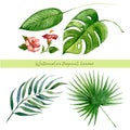 Watercolor tropical leaves set. Hand drawn exotic greenery isolated on white background. Botanical clip art. Royalty Free Stock Photo