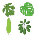 Hand drawn tropical leaves set. Royalty Free Stock Photo