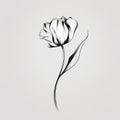 Minimalistic White Tulip Sketch Elegant And Organic Flower Art