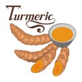 Hand drawn turmeric root, spicy ingredient, turmeric logo, healthy organic food, spice turmeric isolated on white background Royalty Free Stock Photo