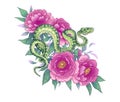 Vector Twisted Snake among Pink Peony Flowers