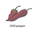 Hand-drawn two ripe red chili pepper Royalty Free Stock Photo