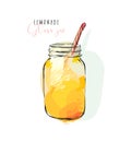 Hand drawn vector abstract artistic cooking illustration of tropical lemonade shake drink in glass jar isolated on white Royalty Free Stock Photo