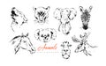 Hand drawn vector abstract artistic ink textured graphic sketch drawing illustrations collection set bundle of animals Royalty Free Stock Photo