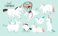 Hand drawn vector abstract graphic creative cartoon illustrations art collection set with white unicorns,pony and Royalty Free Stock Photo