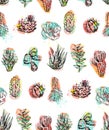 Hand drawn vector abstract graphic creative succulent,cactus and plants seamless pattern isolated on white background Royalty Free Stock Photo