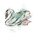 Hand drawn vector abstract ink painted textured graphic swan illustration in pastel colors isolated on white background Royalty Free Stock Photo