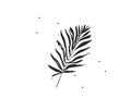 Hand drawn vector abstract stock flat graphic illustration with logo element of tropical,black exotic palm leaves Royalty Free Stock Photo