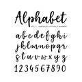 Hand drawn vector alphabet. Brush script font. Isolated lower case letters and numbers written with marker or ink Royalty Free Stock Photo