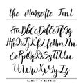 Hand drawn vector alphabet. Calligraphy letters for your design