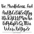 Hand drawn vector alphabet. Calligraphy letters for your design