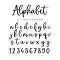 Hand drawn vector alphabet, font. Isolated letters and numbers written with marker or ink. Brush script. Royalty Free Stock Photo