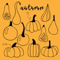 Hand drawn vector Autumn lettering and set of various pumpkins. Harvest season. Linear Illustration. Thanksgiving or Royalty Free Stock Photo