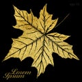 Hand drawn vector autumn maple leaf Royalty Free Stock Photo