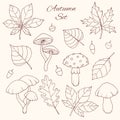 Hand drawn vector autumn set with oak, poplar, beech, maple, aspen and horse chestnut leaves, acorns and mushrooms line art Royalty Free Stock Photo