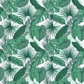 Hand drawn vector background - Palm leaves monstera, areca palm