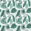 Hand drawn vector background - Palm leaves monstera, areca palm Royalty Free Stock Photo