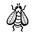 Hand drawn vector beetles. Black and white insects for design, icons, logo or print. Drawn with dots. Great illustration for