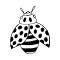 Hand drawn vector beetles. Black and white insects for design, icons, logo or print. Drawn with dots. Great illustration for