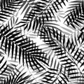 Hand Drawn Vector Black And White Palm Leaves Seamless Pattern