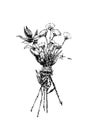 Hand drawn vector black and white vintage illustration of wildflowers Royalty Free Stock Photo