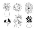 Hand drawn vector botanical illustrations. Linear flowers, vase, leaves, fruits, silhouette. Simple graphics. Perfect for logos, Royalty Free Stock Photo