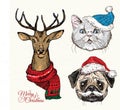 Hand drawn vector of cat with christmas Royalty Free Stock Photo